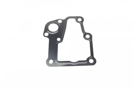 Прокладка термосии Citroen C4/C5 / Peugeot 307/308/407 1.8/2.0i 02-14 ELRING 100.050 (фото 1)