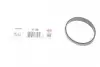 Прокладка впускного коллектора MB C-class (W203/S203)/E-class (W211) (OM611/646) 00-08 ELRING 130.420 (фото 2)