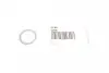 Прокладка пробки зливної масляного піддону Ford Focus/Mondeo 2.5 PFI 04-14 (18x24x1.5) ELRING 247.804 (фото 1)