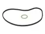 Прокладка помпы воды BMW 5 (E60)/7 (E65/E66/E67/F01-F04) 01-15 N62/N73/N74 ELRING 359.200 (фото 6)