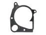 Прокладка помпы воды BMW 3 (E90/92/93)/5 (E39/70) 2.0/2.5/3.0D 98-14 ELRING 362.281 (фото 3)