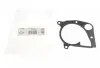 Прокладка помпы воды BMW 3 (E90/92/93)/5 (E39/70) 2.0/2.5/3.0D 98-14 ELRING 362.281 (фото 1)