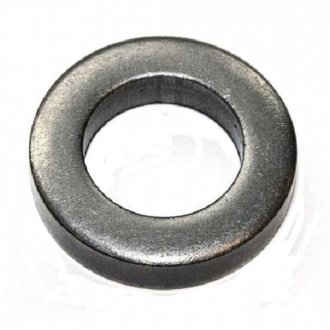 Уплотняющее кольцо ELRING 406210 (фото 1)