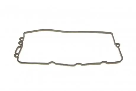 Прокладка крышки клапанов Audi Q7/Q8/VW Touareg 3.0 TDI 15-(1-3 цилиндра) ELRING 456.180