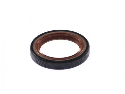 Уплотняющее кольцо ELRING 507.806
