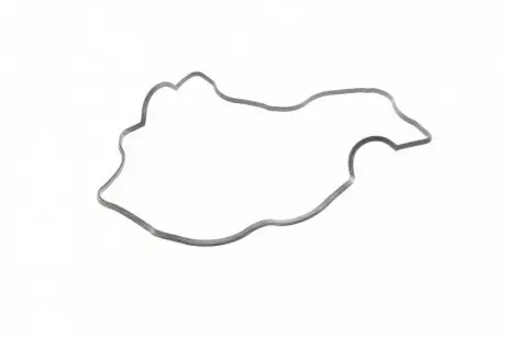 Прокладка кришки клапанів Chevrolet Captiva/Lacetti/Nubira 2.0D 05- ELRING 539440