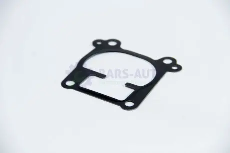 Прокладка корпуса впускного коллектора Opel Astra G 2.0/2.2 DTI 99-05 ELRING 743.970