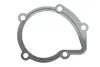 Прокладка насоса воды Citroen/Fiat/Hyundai/Lada/Suzuki 1.6-2.0D 82- ELRING 754.044 (фото 1)