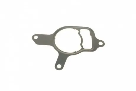 Прокладка насоса вакуумного VW Golf VI/Jetta III/IV 2.5 06- ELRING 755020