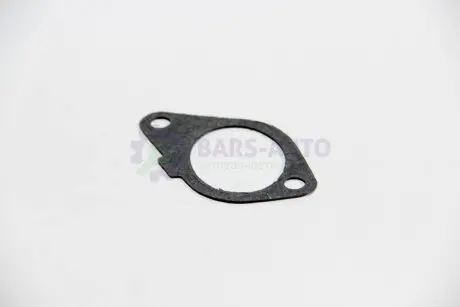 Прокладка колектора впускного Fiat Scudo/Peugeot Expert 1.9D (DW8) ELRING 773.800