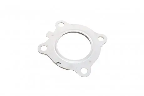 Прокладка турбіни Ford Focus 2.0 TDCi 10- (трубка на злив масла) ELRING 777.720