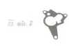Прокладка насосу вакуумного Renault Trafic 2.0dCi 06- ELRING 891.710 (фото 1)