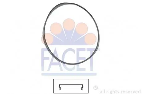 Уплотнительное кольцо термостата Bmw 3 316 ci (00-06) FACET 7.9631