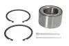 Подшипник ступицы (передней) Nissan Almera Tino 00-/Primera 2 02-/X-Trail 01-07 FAG 713 6138 10 (фото 1)