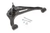 Рычаг подвески (передний) (R) Suzuki Vitara I/Grand Vitara I 98-05 FAG 821 0646 10 (фото 1)