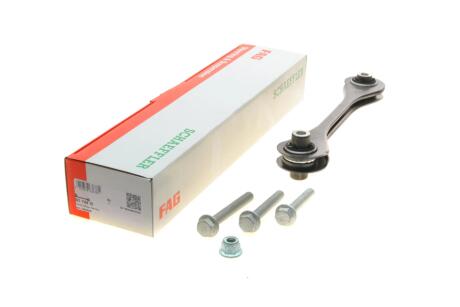 Рычаг подвески (задний) Audi Q3/Skoda Octavia/VW Golf VIII/Tiguan 16- FAG 821 1164 10