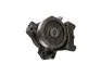 Насос водяной Fiat Ducato/Peugeot Boxer/Citroen Jumper (06-) 3.0 JTD 6PK FAST FT57147 (фото 1)