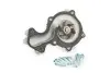 Насос Водяний Ford Transit Connect (13-) 1.0 ECOBOOST FAST FT57189 (фото 1)