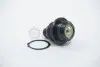 Опора кульова (передня/знизу) NISSAN Pathfinder 05- FEBEST 0220-333 (фото 2)
