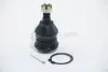 Опора кульова (передня/знизу) Nissan Almera 01-07 FEBEST 0220-P12 (фото 2)