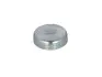 Заглушка блока цилиндров DB/MB (d=34mm) FEBI BILSTEIN 02543 (фото 1)