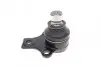 Опора шаровая (передняя/снизу) VW Caddy 96- (d=19mm) FEBI BILSTEIN 03548 (фото 5)