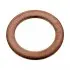 Прокладка трубки подачі оливи до турбіни BMW 5 (E60/E61) 330d (10x15) FEBI BILSTEIN 101176 (фото 1)