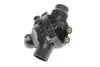 Термостат BMW 3 (E90)/X5 (E70)/X6 (E71/E72) 3.0i (N55) 06-14 FEBI BILSTEIN 172624 (фото 1)