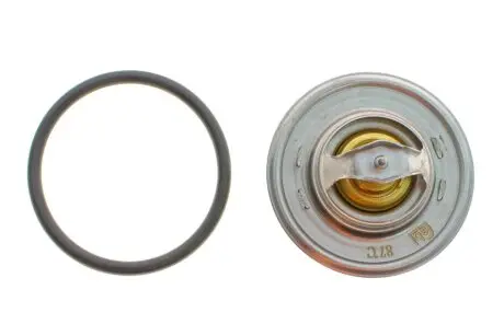 Термостат VW T5 2.0i 03- FEBI BILSTEIN 17890