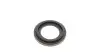 Ремкомплект супорта (переднього) Nissan Navara/NP300 01- (d=46mm)(+2 поршні) (Niss) FRENKIT 246910 (фото 4)