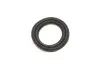 Ремкомплект супорта (переднього) Mitsubishi Colt VI 04-12 (d=54mm) (Akebono) (+ поршень) FRENKIT 254951 (фото 11)