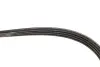 Ремінь генератора Fiat Sedici/Honda Civic/Kia Pride/Opel Omega B 1.6-4.4 88-14 Gates 4PK803 (фото 4)