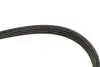 Ремінь генератора Nissan Primera/Micra/Note/Toyota Corolla 1.0-2.5D 83- Gates 4PK823 (фото 4)