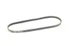 Ремінь генератора Peugeot Expert/Citroen Jumpy/Renault Kangoo 1.0-3.5 88- Gates 4PK905 (фото 2)