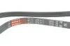 Ремень генератора Fiat Fiorino/Nissan Primera 1.6 90-03 Gates 4PK913 (фото 2)