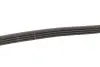 Ремінь генератора Chevrolet Aveo 1.2 05- Gates 4PK948 (фото 3)