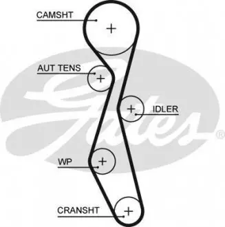 Ремень ГРМ Citroen C5/C6/C8/Peugeot 407/508/607 2.2HDI 06- (25.4x118z) Gates 5633XS