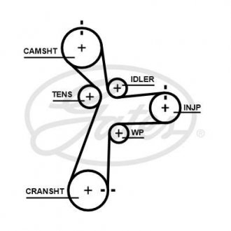 Пас ГРМ з довжиною кола понад 60 см, але не більш як 150см Gates 5696XS
