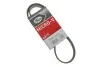 Ремінь генератора Ford Escort 1.8 D 90-00 Gates 5PK1013 (фото 2)