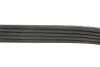 Ремінь генератора Ford Escort 1.8 D 90-00 Gates 5PK1013 (фото 4)