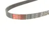 Ремінь генератора Mazda 323/626/Opel Astra G/Vectra B/C 2.0/2.2 00-08 Gates 5PK1030 (фото 5)