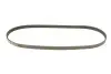 Ремінь генератора Ford Mondeo/Volvo S80/V60/V70/XC70 2.5 07-17 Gates 5PK1095 (фото 1)