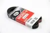 Ремінь генератора VW Passat B5/Audi A4/A6 1.6/1.8 95- Gates 5PK1303 (фото 1)
