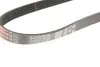 Ремінь генератора Ford Mondeo IV 2.5 07-15/Volvo S60 II/S80II/V60 I/V70 III/XC60 I/XC70 II 07-16 Gates 5PK628-620SF (фото 4)