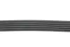 Ремень генератора BMW 3 (E46)/X5 (E53)/5 (E39) 2.5D/3.0D 98-06 Gates 5PK810 (фото 3)