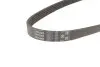 Ремінь генератора Ford Focus/Kuga 2.5 05- Gates 5PK848 (фото 2)