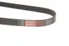 Ремінь генератора Ford Focus/Kuga 2.5 05- Gates 5PK848 (фото 3)