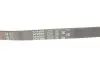 Ремень генератора Ford Mondeo I-II/Fiesta IV/Focus II 1.8 TD/2.5 ST 93-00 Gates 5PK885 (фото 5)
