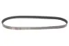 Ремень генератора VW Caddy 1.9D/SDI-03 (WP,TP) Gates 6PK1038 (фото 1)