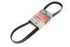 Ремінь генератора Ford Focus/Fiesta/Fusion/Mazda 2 1.25-1.6 98- Gates 6PK1042-1059SF (фото 1)